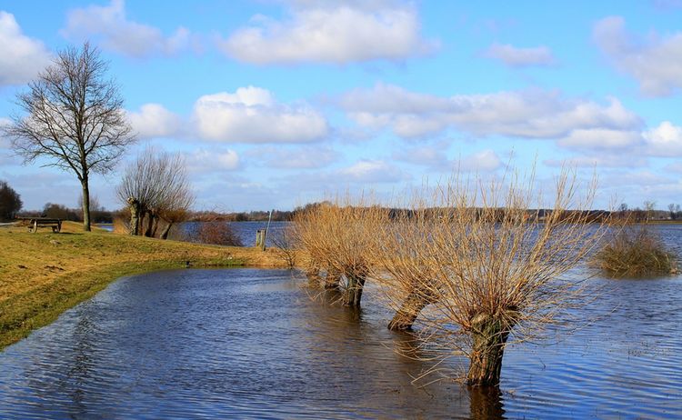 Ufer mit Wasser als Sinnbild für Hochwasser: Zum Vergrößern auf Bild klicken