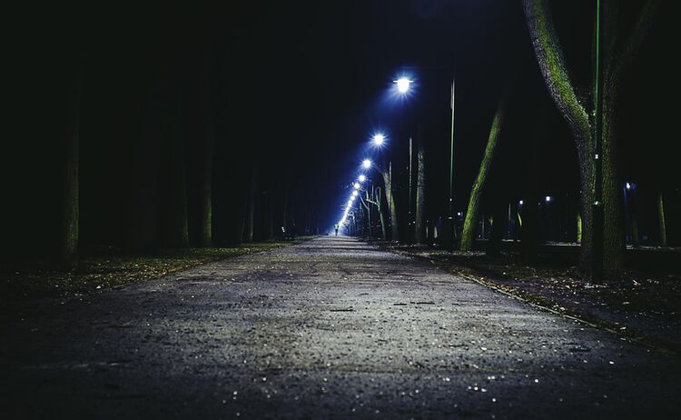 Moderne Straßenbeleuchtung leuchtetn in der Nacht im Wald: Zum Vergrößern auf Bild klicken