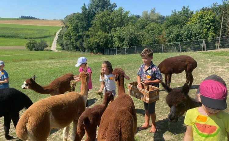 Ferienprogramm: Zum Vergrößern auf Bild klicken