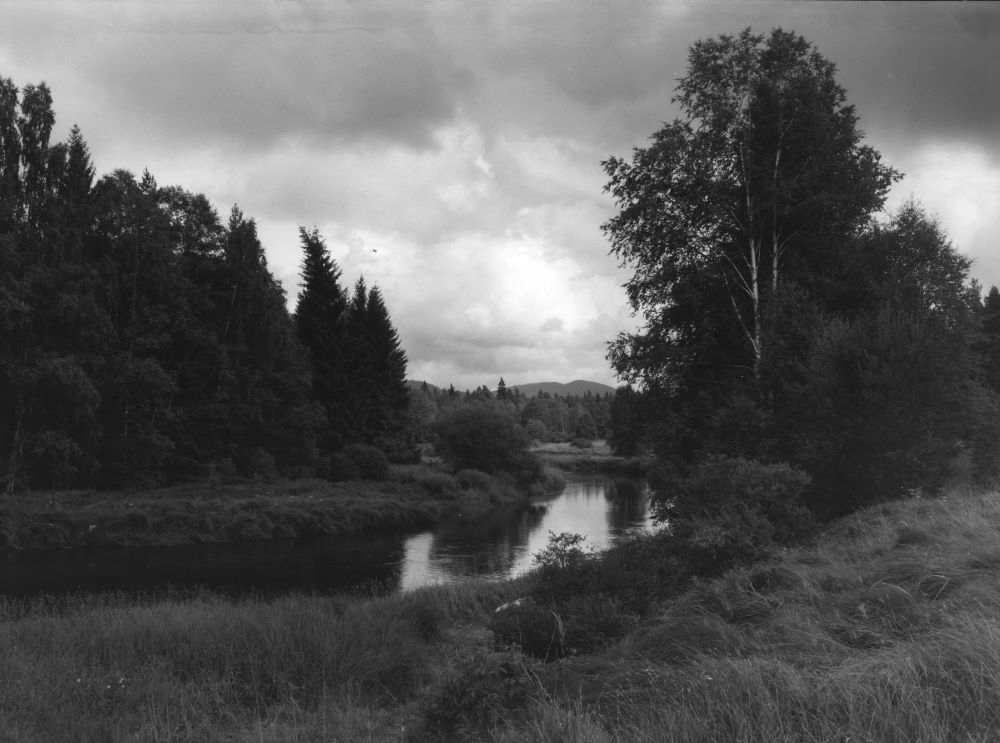 Ausstellungsfoto Adalbert Stifter