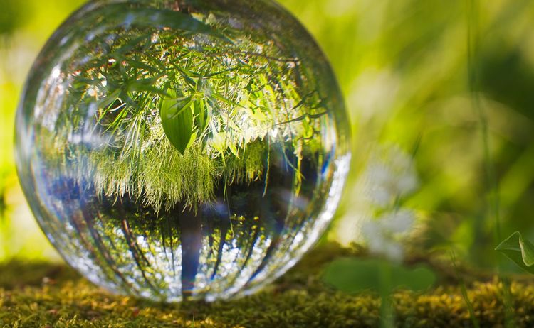 ein Wassertropfen auf der Erde: Zum Vergrößern auf Bild klicken