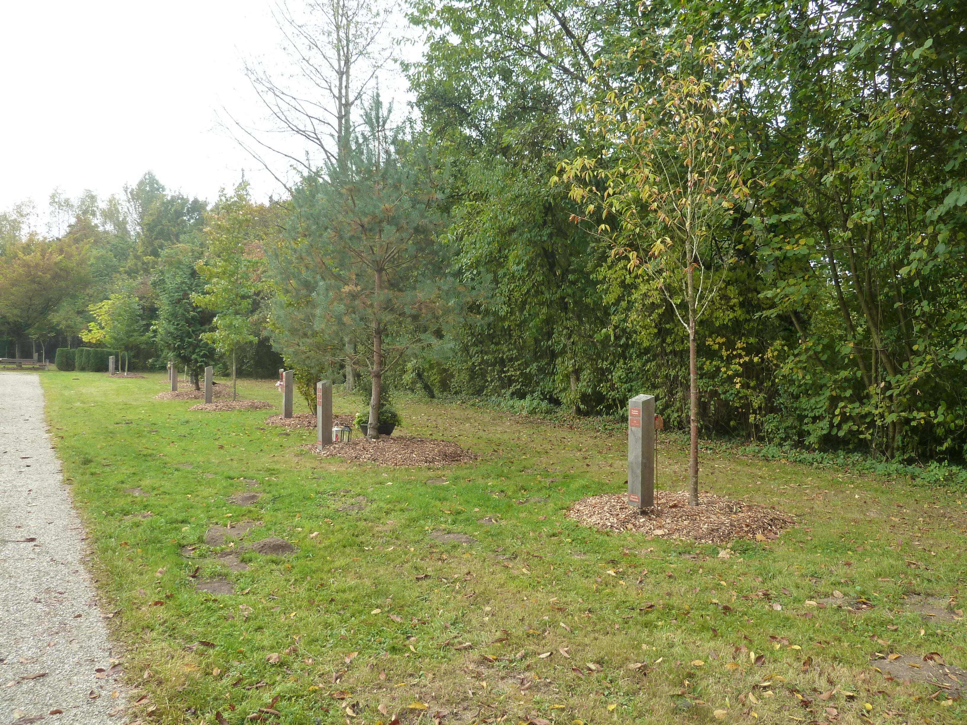 Familienbestattungen Waldfriedhof