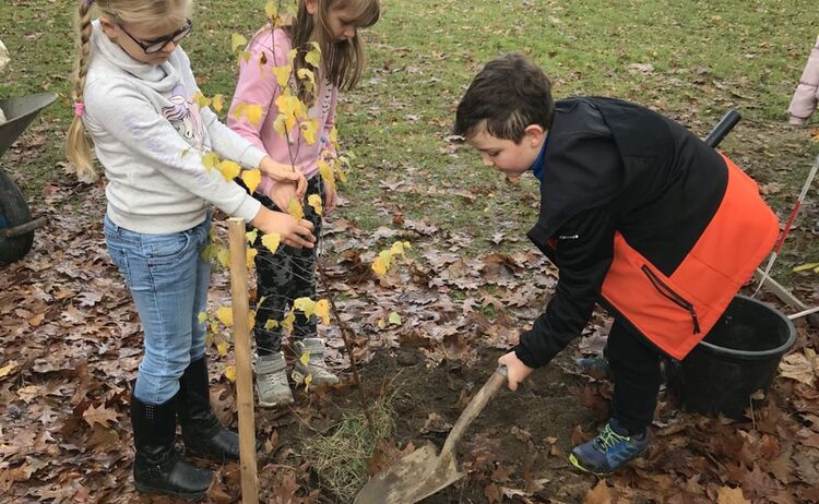 Zwei Schülerinnen und ein Schüler der Beethovengrundschule pflanzen gemeinsam einen Baum im Schulgarten: Zum Vergrößern auf Bild klicken