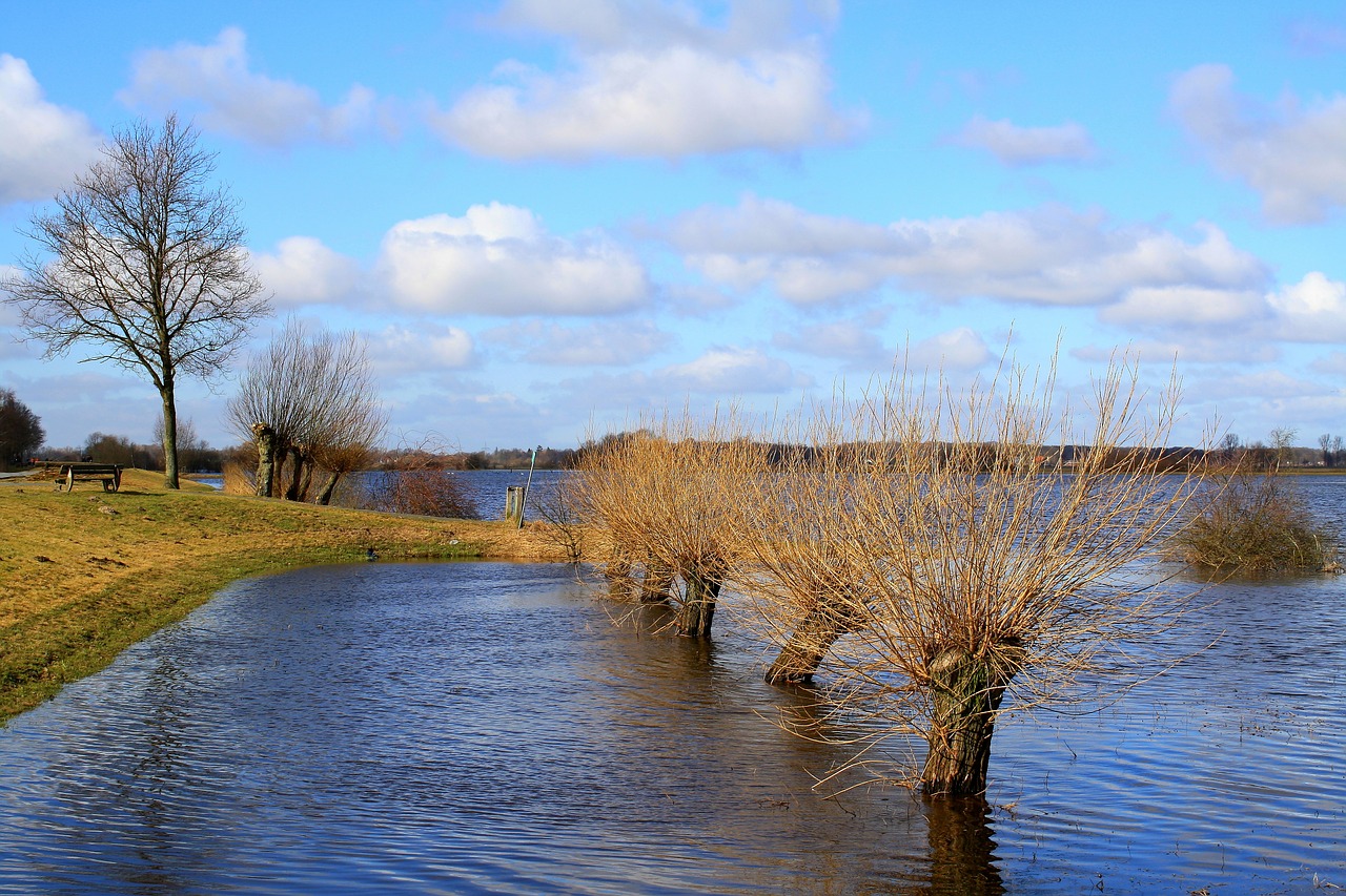 Wasser am bewachsenen Ufer – Symbolbild zum Thema Hochwasser