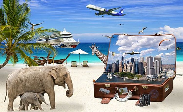 Symboldbild Ferienordnung, das eine Safari zeigt: Zum Vergrößern auf Bild klicken