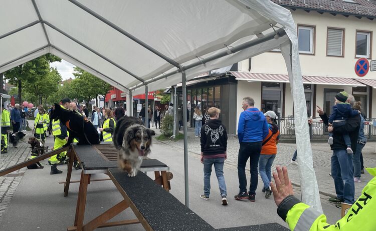 Die Rettungshundestaffel Inntal zeigt ihr Können: Zum Vergrößern auf Bild klicken