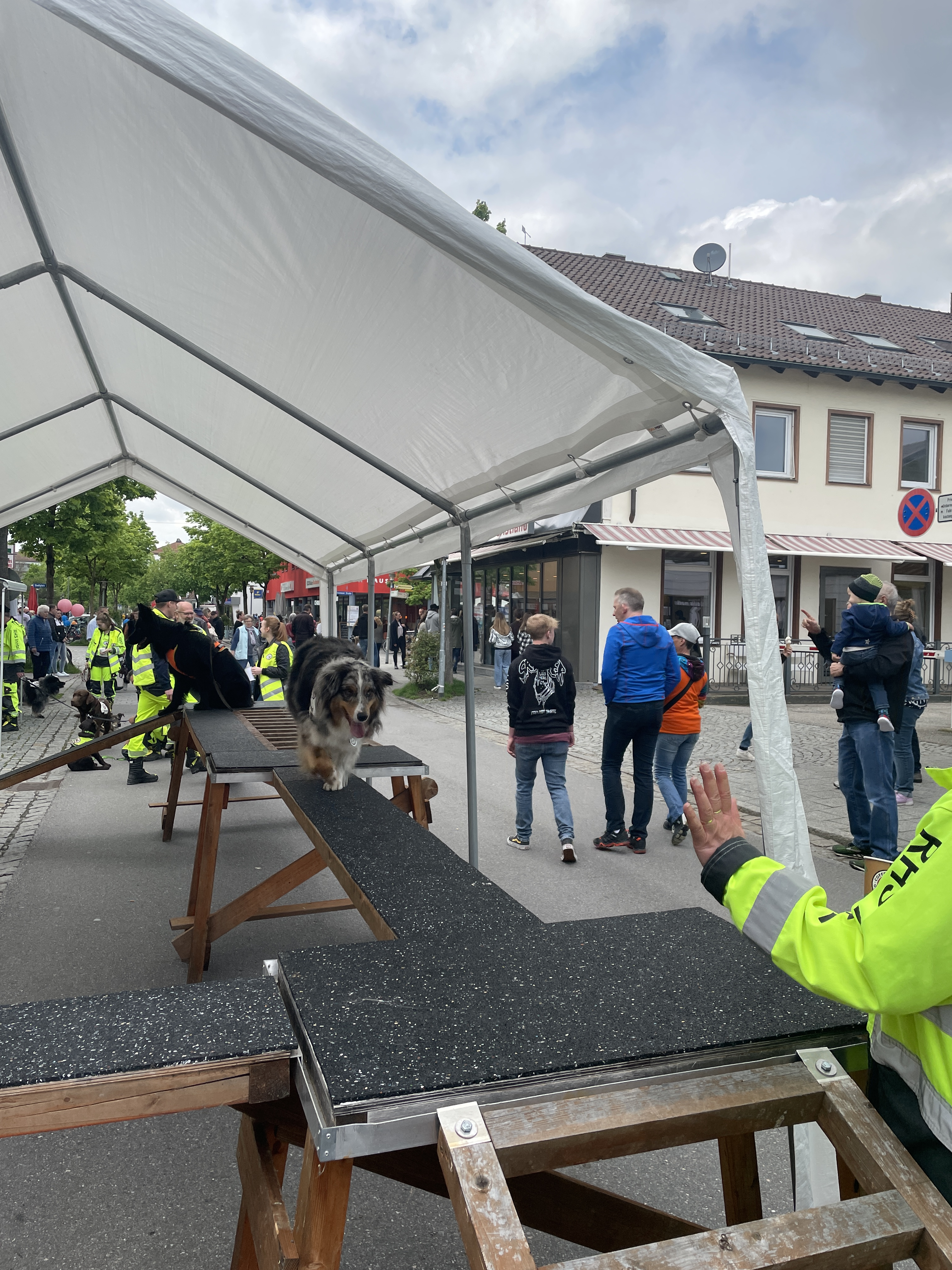 Die Rettungshundestaffel Inntal zeigt ihr Können Die Rettungshundestaffel Inntal zeigt ihr Können