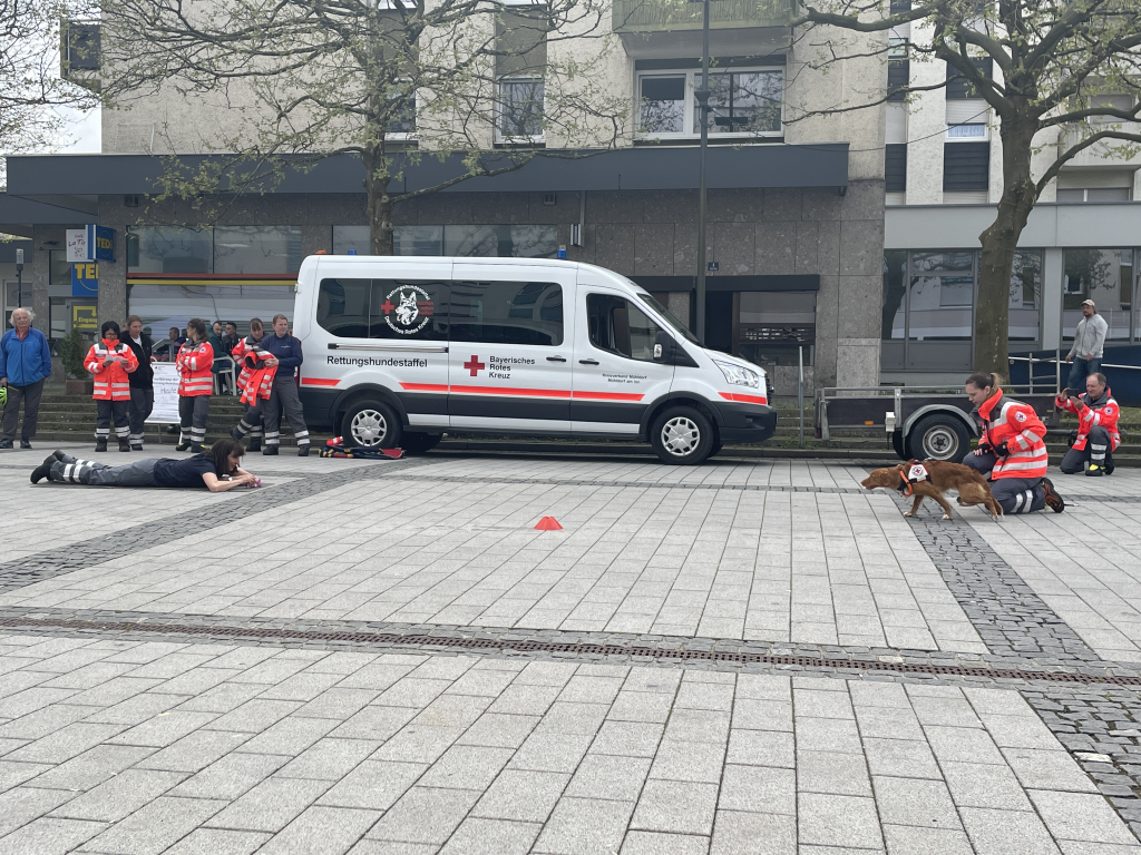 Die Rettungshundestaffel des BRK zeigt eine Auffhührung mit den Hunden Die Rettungshundestaffel des BRK zeigt eine Auffhührung mit den Hunden
