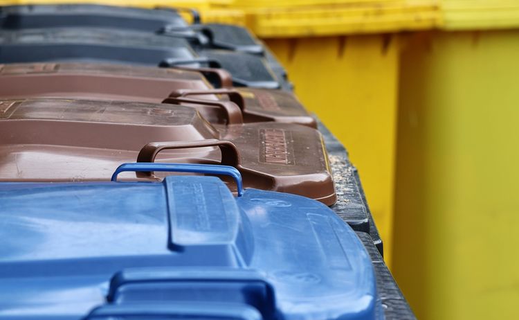 Mülltonnen in blau, braun, schwarz und gelb: Zum Vergrößern auf Bild klicken