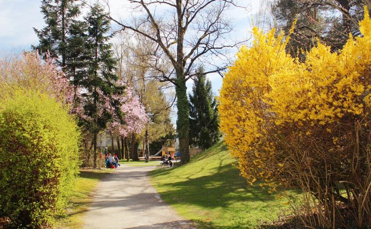 blühende Parkanlage Waldkraiburg: Zum Vergrößern auf Bild klicken