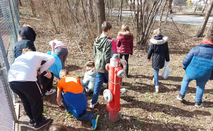 Realschüler sammeln Müll beim Rama Dama: Zum Vergrößern auf Bild klicken