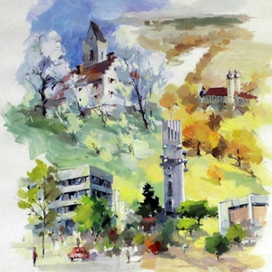 Verschiedene Stadtansichten von Waldkraiburg und Umgebung 