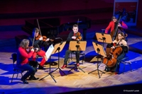 Streichquartett auf der Bühne Streichquartett auf der Bühne
